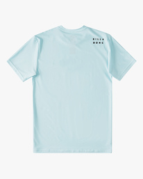 7 Boys' All Day Wave Loose Fit Short Sleeve Surf Tee Brown ABBWR00100 Billabong