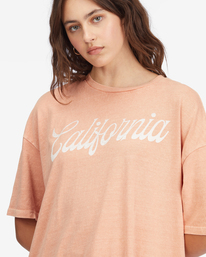 4 Land Of Milk And Honey Boyfriend T-Shirt Pink ABJZT00687 Billabong
