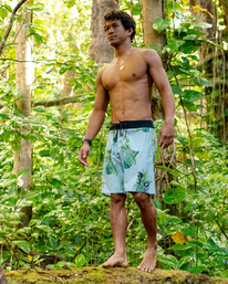 0 Kamea Jungle Pro Boardshorts 19" Green ABYBS00321 Billabong