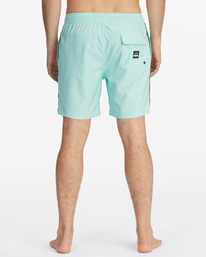 5 Kamea Hawaii Layback Boardshorts 16" Green ABYBS00324 Billabong