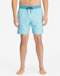 2 D Bah Layback Boardshorts 17" Green ABYBS00360 Billabong