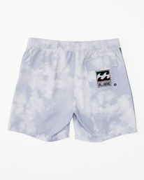 1 DBah Layback Boardshorts 17" Purple ABYBS00366 Billabong