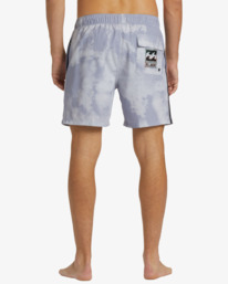 5 DBah Layback Boardshorts 17" Purple ABYBS00366 Billabong