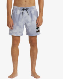 2 DBah Layback Boardshorts 17" Purple ABYBS00366 Billabong
