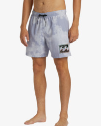 3 DBah Layback Boardshorts 17" Purple ABYBS00366 Billabong