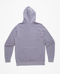 6 Wave Washed Unity Pullover Hoodie Pink ABYFT00297 Billabong