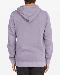 2 Wave Washed Unity Pullover Hoodie Pink ABYFT00297 Billabong
