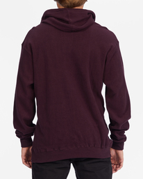 2 Northpoint Pullover Hoodie Purple ABYFT00326 Billabong