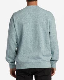 Re-Issue Crewneck Wave Washed Sweatshirt