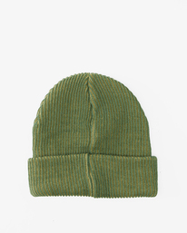 1 Arch Patch Knit Beanie Green ABYHA00325 Billabong