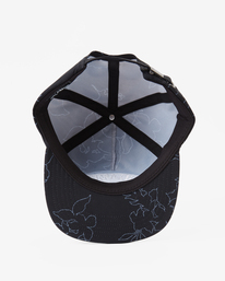 4 Arch Team Print Strapback Hat  ABYHA00331 Billabong