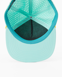 4 Range Trucker Hat Green ABYHA00387 Billabong