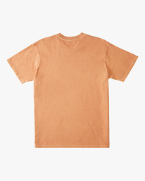 5 Mesa Wave Washed Organic Short Sleeve T-Shirt Green ABYKT00148 Billabong