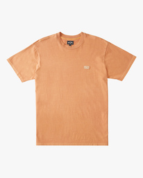 4 Mesa Wave Washed Organic Short Sleeve T-Shirt Green ABYKT00148 Billabong