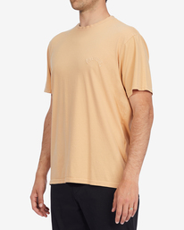 1 Mesa Wave Washed Organic Short Sleeve T-Shirt Green ABYKT00148 Billabong