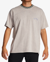 0 Felix - T-shirt pour Homme Gris ABYKT00188 Billabong