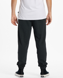 HUDSON FLEECE PANT  ABYNP00155