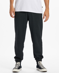 HUDSON FLEECE PANT  ABYNP00155