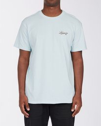 billabong t shirts clearance