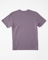 6 Stack Arch Short Sleeve T-Shirt  ABYZT01065 Billabong