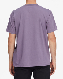 3 Stack Arch Short Sleeve T-Shirt  ABYZT01065 Billabong