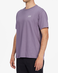 1 Stack Arch Short Sleeve T-Shirt  ABYZT01065 Billabong