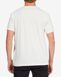 3 Team Pocket T-Shirt  ABYZT01104 Billabong