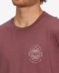 4 Light Wave Washed Short Sleeve T-Shirt Red ABYZT01296 Billabong