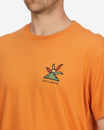 3 A/Div Shine Organic Short Sleeve T-Shirt Red ABYZT01320 Billabong