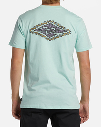 2 Crayon Wave Short Sleeve T-Shirt Green ABYZT01568 Billabong