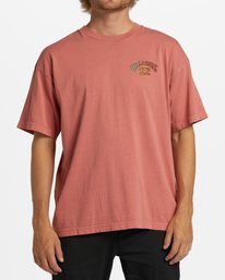 0 Arch Wave Washed Short Sleeve T-Shirt Orange ABYZT01593 Billabong