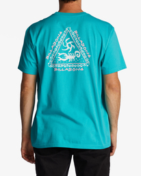 2 Tall Tale - T-Shirt voor Heren Green ABYZT01704 Billabong