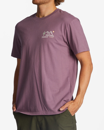 4 Panorama - Bio-T-Shirt für Männer Violett ABYZT01731 Billabong