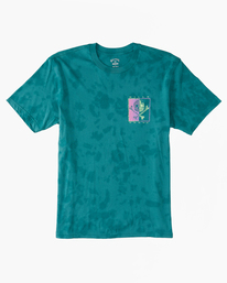 6 Boxed In - T-shirt para Homem Verde ABYZT01738 Billabong