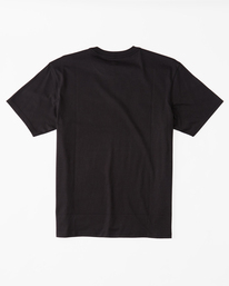 5 Alaska Wave Organic T-Shirt Black ABYZT01744 Billabong