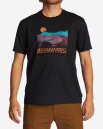 0 Alaska Wave - Biologisch T-shirt voor Heren Black ABYZT01744 Billabong