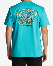 2 Florida Arch T-Shirt Blue ABYZT01755 Billabong