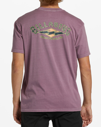 3 Arch - T-Shirt voor Heren Purple ABYZT01873 Billabong