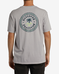 2 Layback - T-Shirt for Men Grey ABYZT01877 Billabong