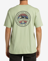 2 Rockies - T-shirt pour Homme Vert ABYZT01897 Billabong