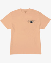 6 Kamea Lava Arch - T-Shirt for Men Pink ABYZT01917 Billabong