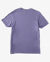 5 Trippin Short Sleeve T-Shirt Purple ABYZT02022 Billabong