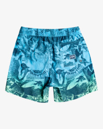 1 Poster Boys 14" - Boardshorts für Jungen 8 - 14 Grün C2LB15BIP2 Billabong