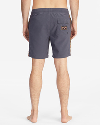 All Day Pigment Layback 17" - Board Shorts for Men  D1LB14BIMU