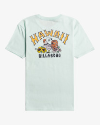 billabong, Arch Dreamy Place - T-Shirt für Jungen 8-16, SEAGLASS (sgl) Arch Dreamy Place - T-Shirt for Boys 8-16 EBBZT00106