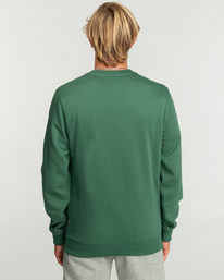 2 Arch - Sweatshirt for Men Green EBYFT00113 Billabong