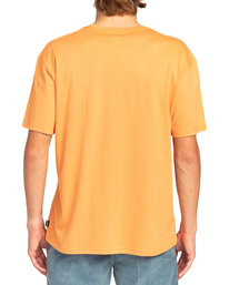 1 Exit Arch - T-shirt pour Homme Rouge EBYZT00104 Billabong