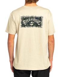 1 A/DIV Arch - T-Shirt for Men Beige EBYZT00111 Billabong