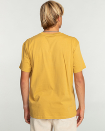 2 Team Wave - T-Shirt voor Heren Yellow EBYZT00144 Billabong