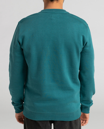 1 Swell - Sweater voor Heren Green F1CR05BIF2 Billabong